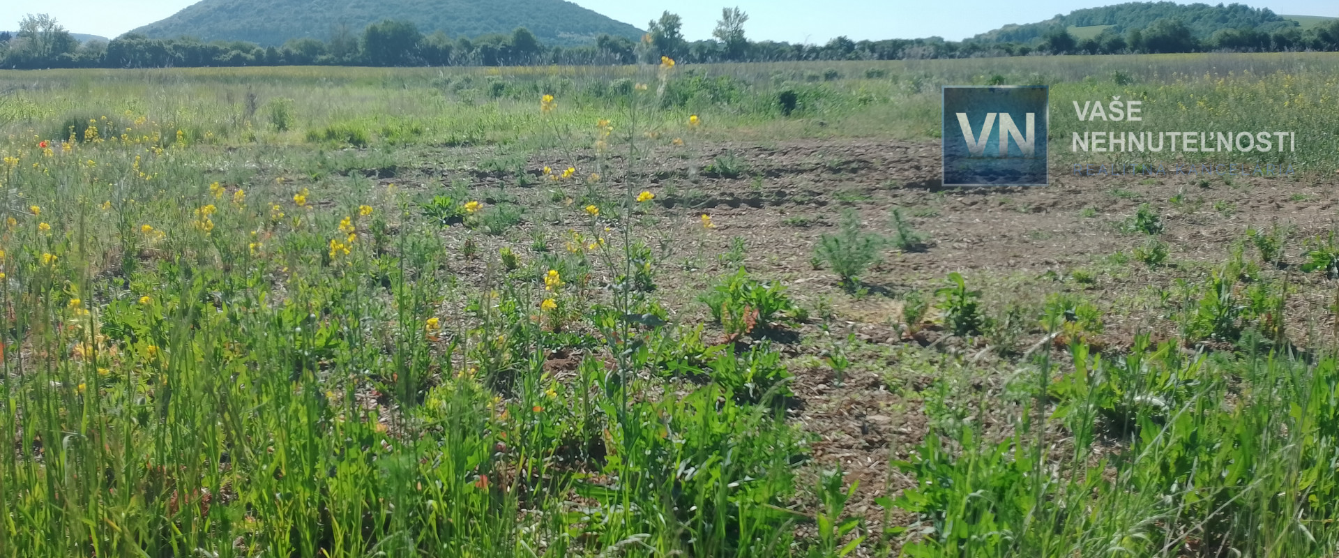 Pozemky na predaj Šarišské Michaľany