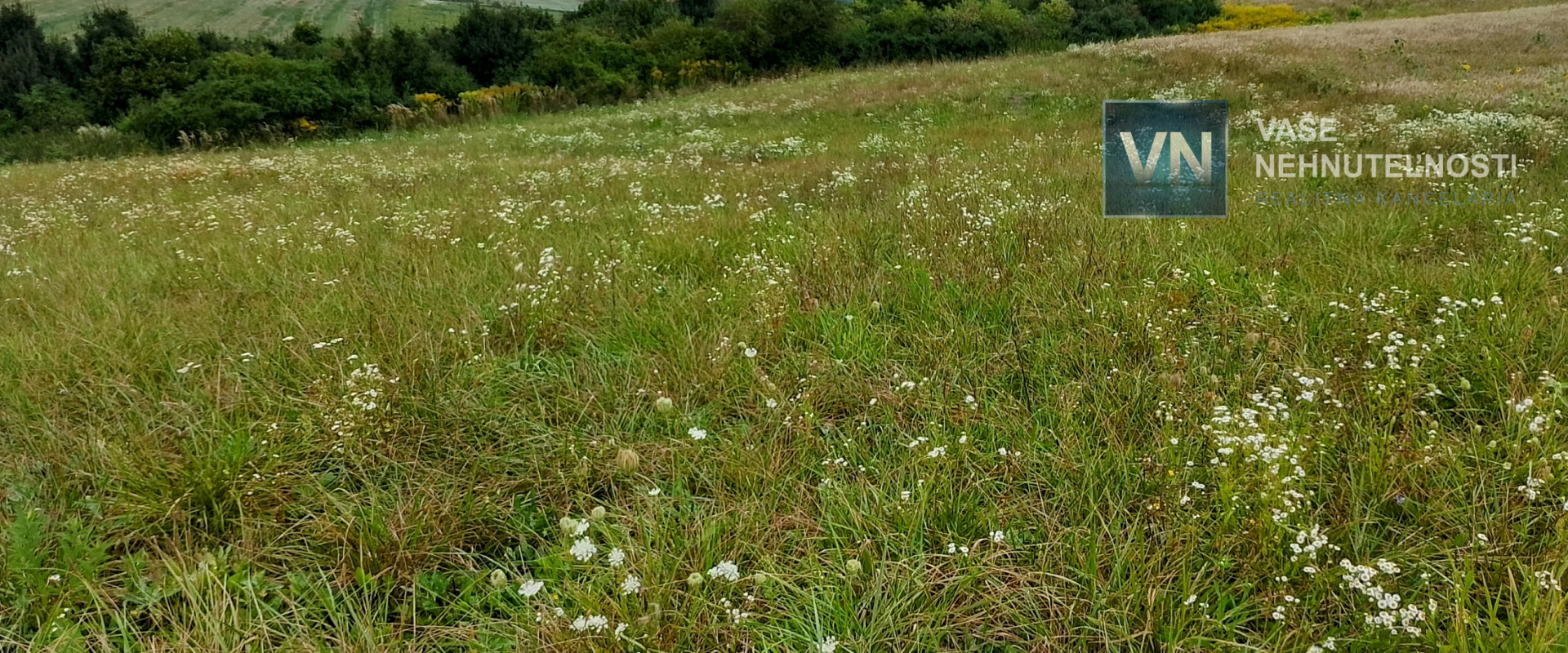 Pozemok na predaj Veľký Šariš