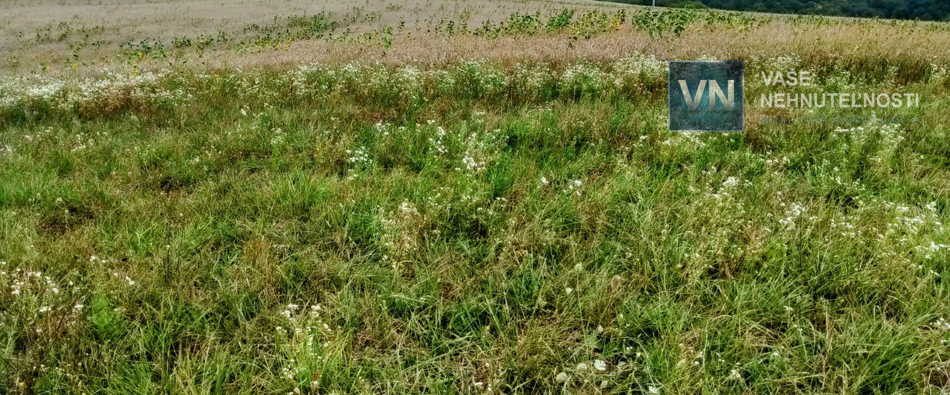 Pozemok na predaj Veľký Šariš