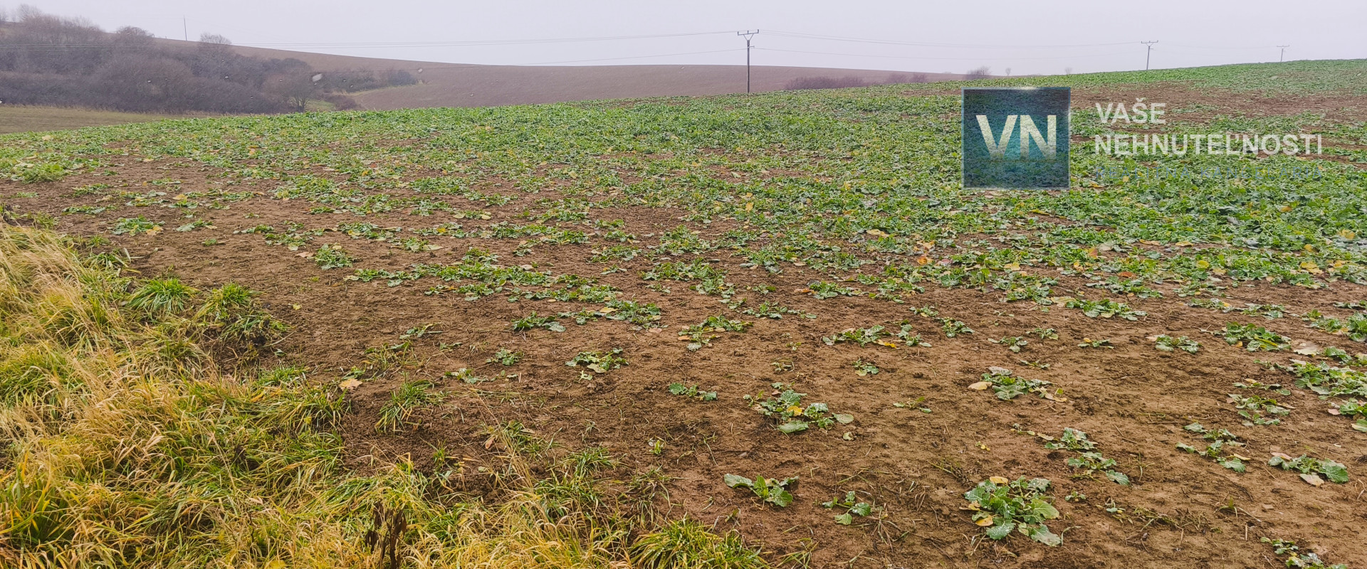 Pozemok na predaj Veľký Šariš