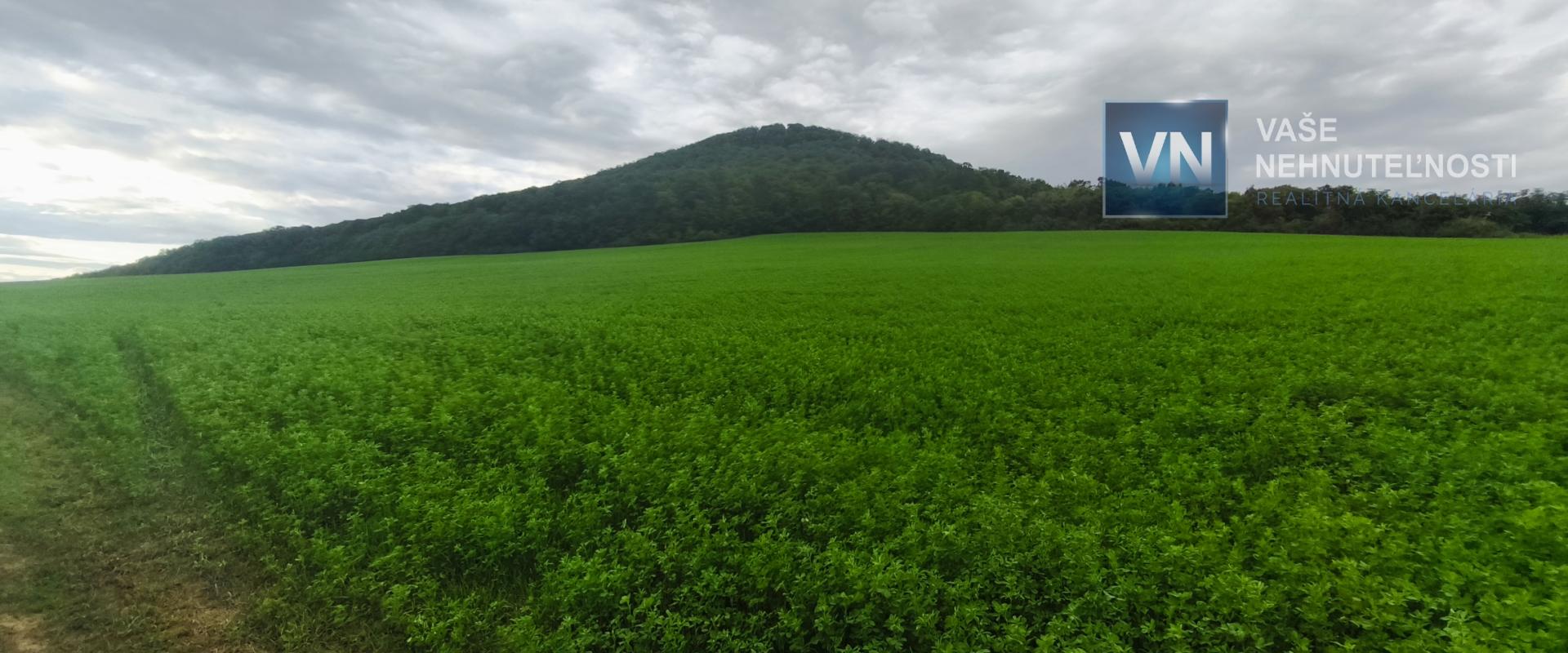 Pozemok na predaj Veľký Šariš
