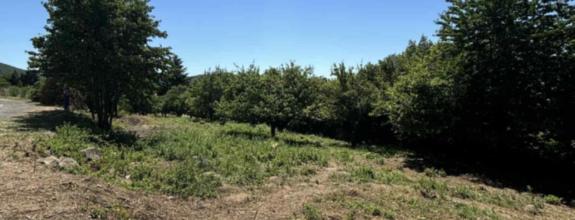 Pozemok na predaj Žehňa