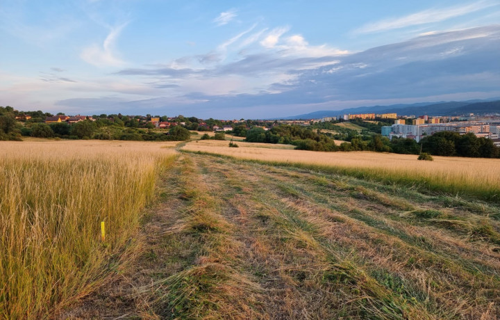 Investičný pozemok s rozlohou 592m2, Ľubotice