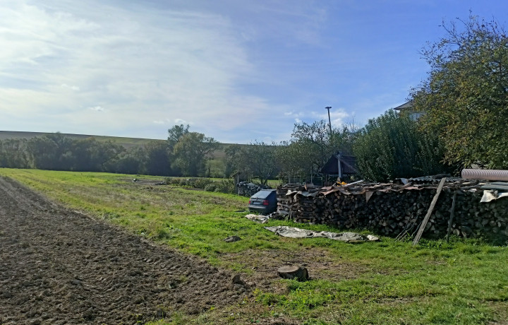 Pozemok na predaj Svinia