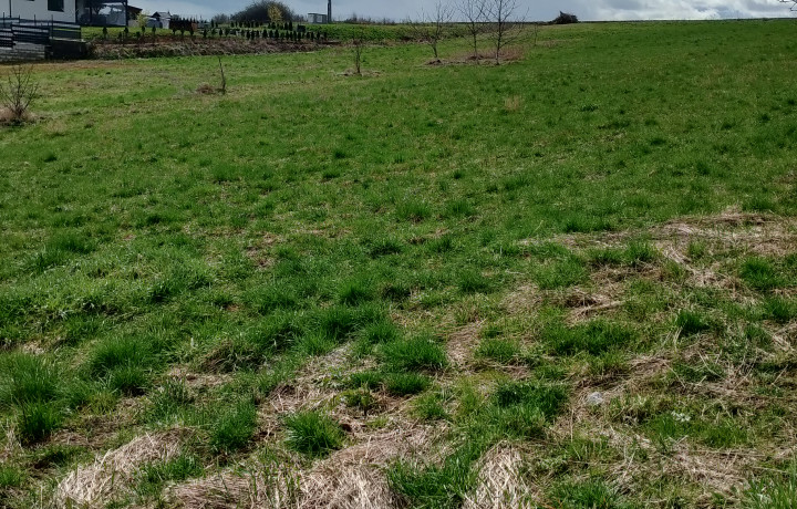 Investičný pozemok na predaj Župčany