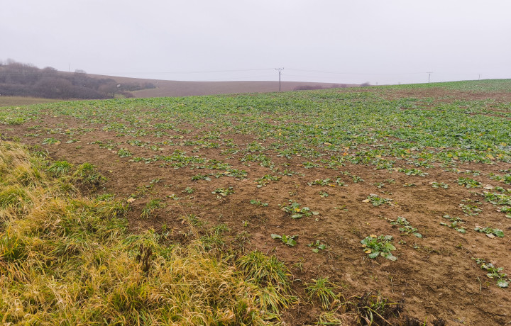 Pozemok na predaj Veľký Šariš