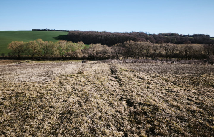 Pozemok na predaj Župčany