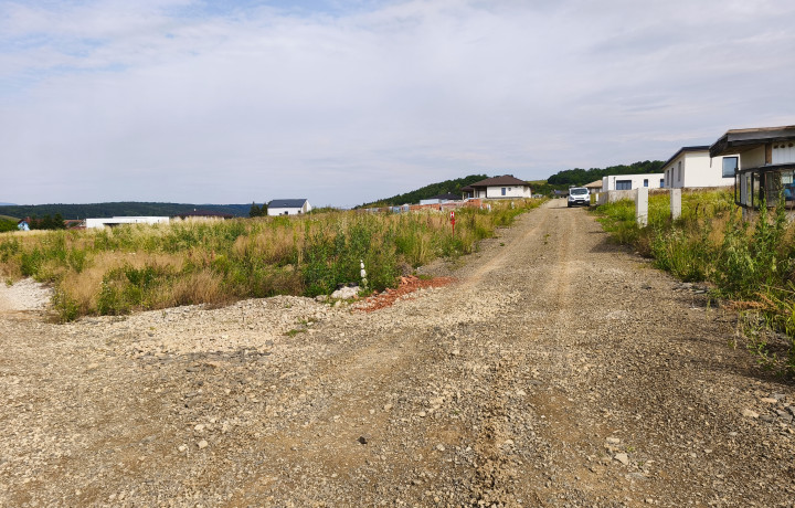 Pozemok na predaj Svinia