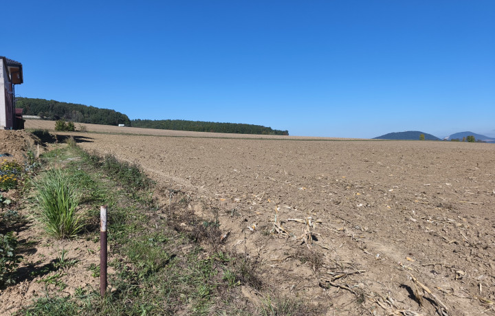 Pozemok na predaj Svinia