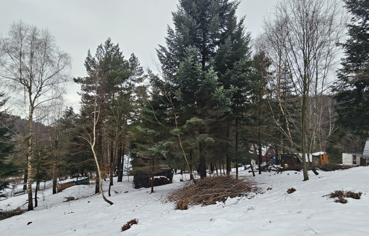 Na predaj veľký pozemok s chatkou v rekreačnej oblasti Drienica